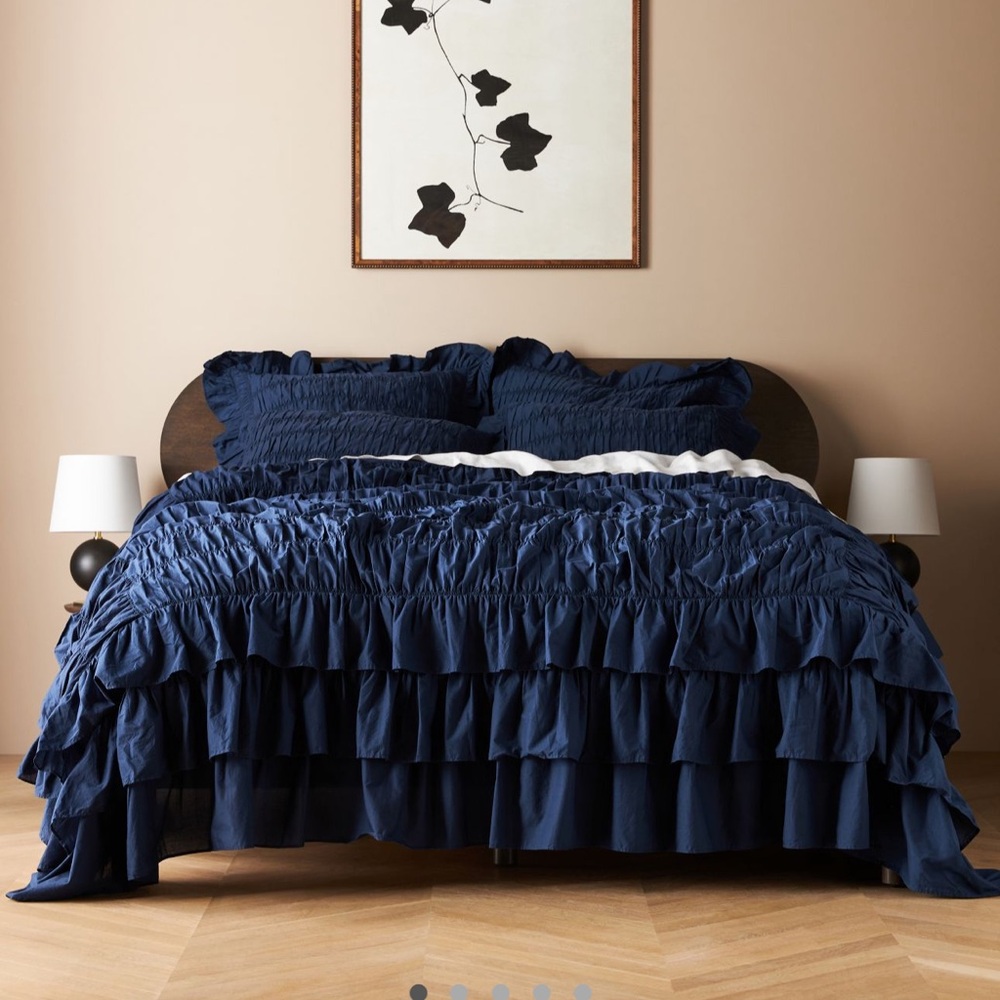 Anthropologie Ruffled Duvet Cover and Euro Shams